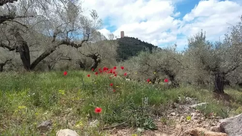Descubre con los niños los castillos de la sierra de Espadán