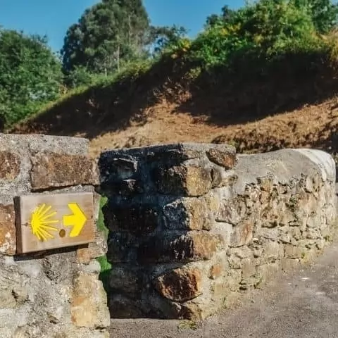 8 razones para hacer el camino de Santiago con niños