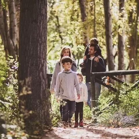 Descubre la magia del otoño en familia: Escapadas en la Región de Murcia