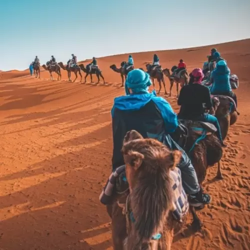 Viaje para buscar a Los Reyes Magos en Marruecos con niños