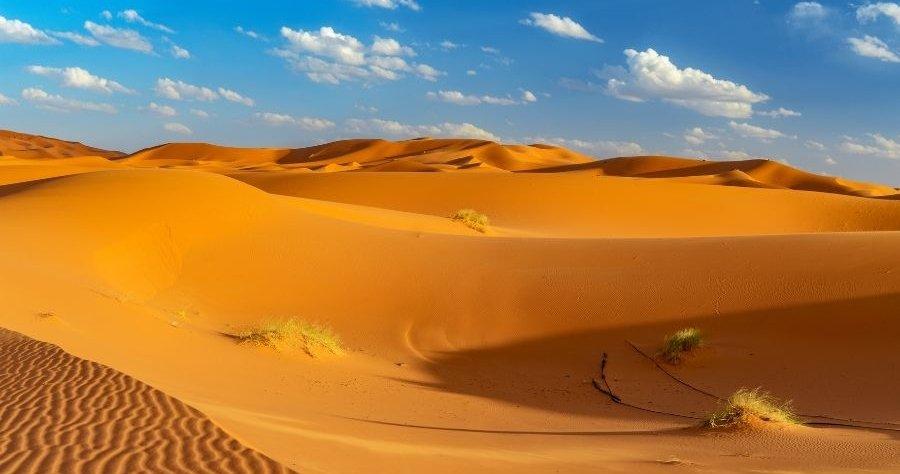 Viaje para buscar a Los Reyes Magos en Marruecos con niños