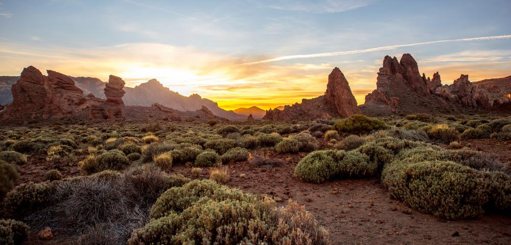 Parque Nacional El Teide