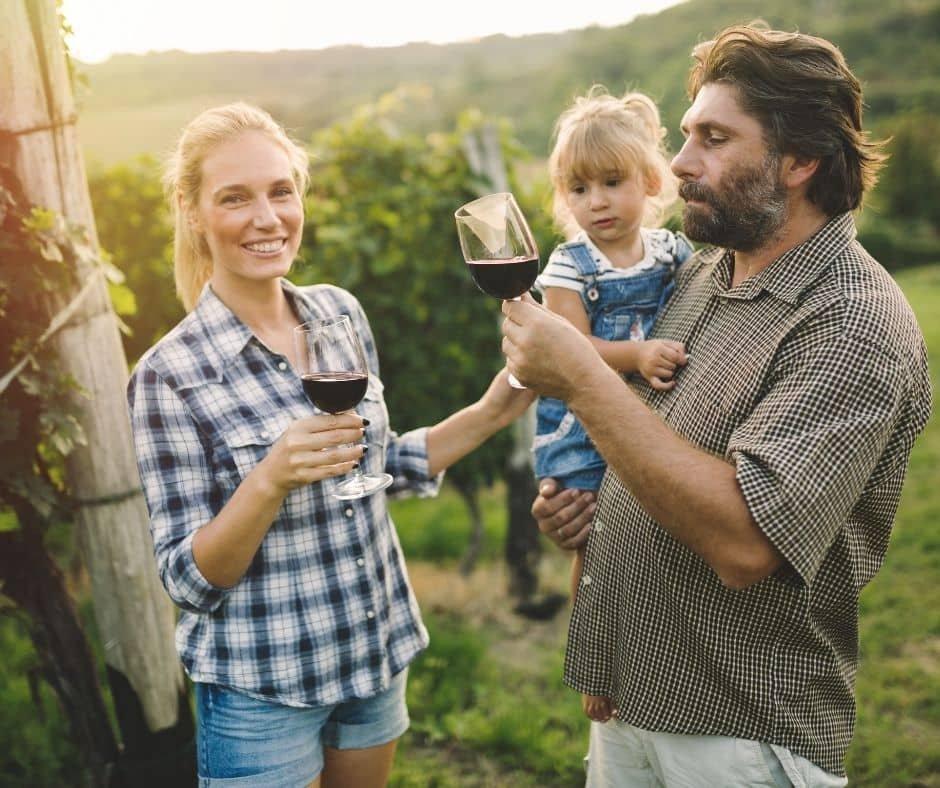 visitar_vi&ntilde;edos_en_familia