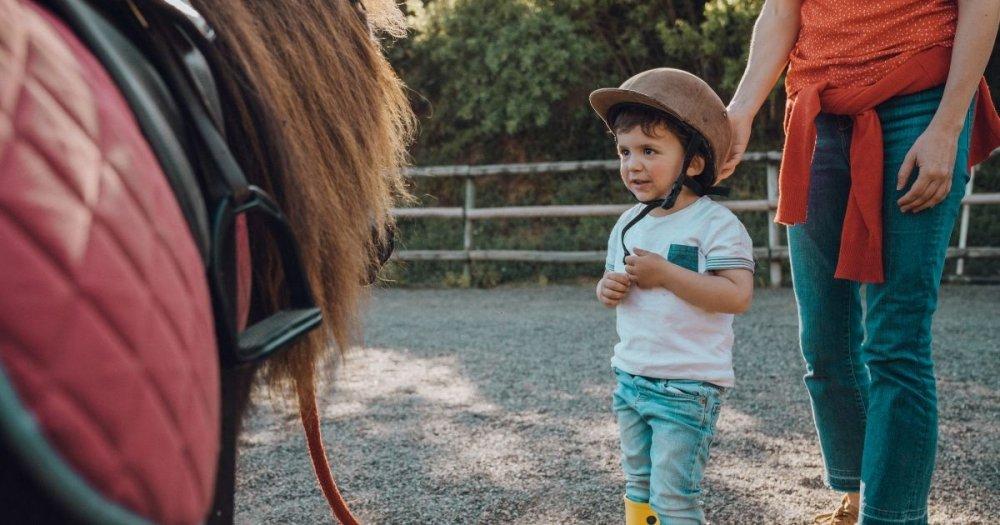 Fin_de_semana_caballos