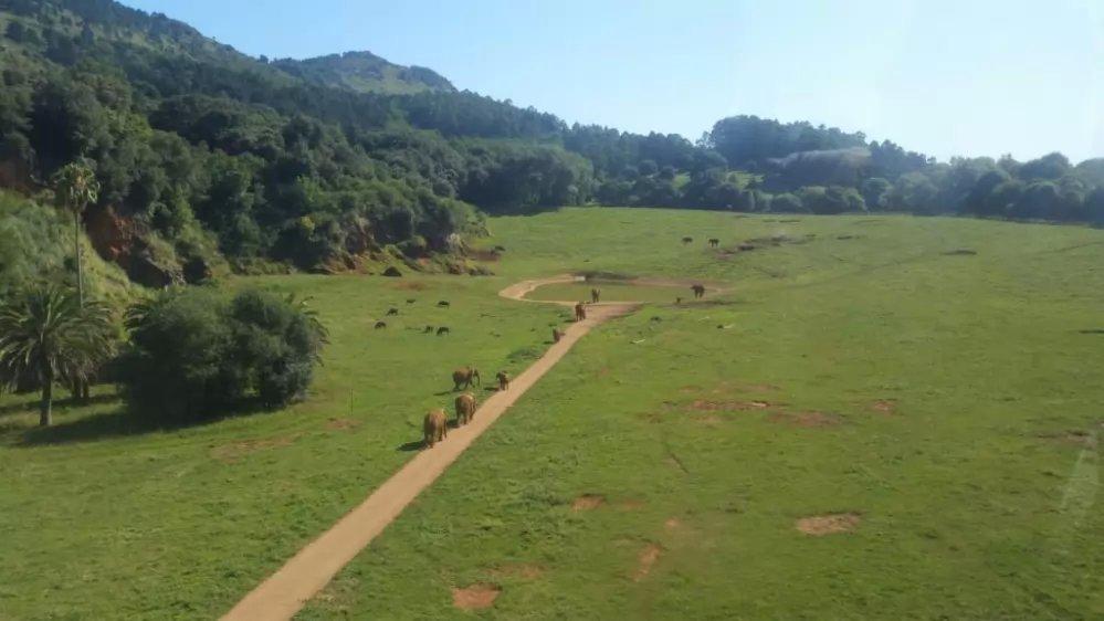Cabárceno