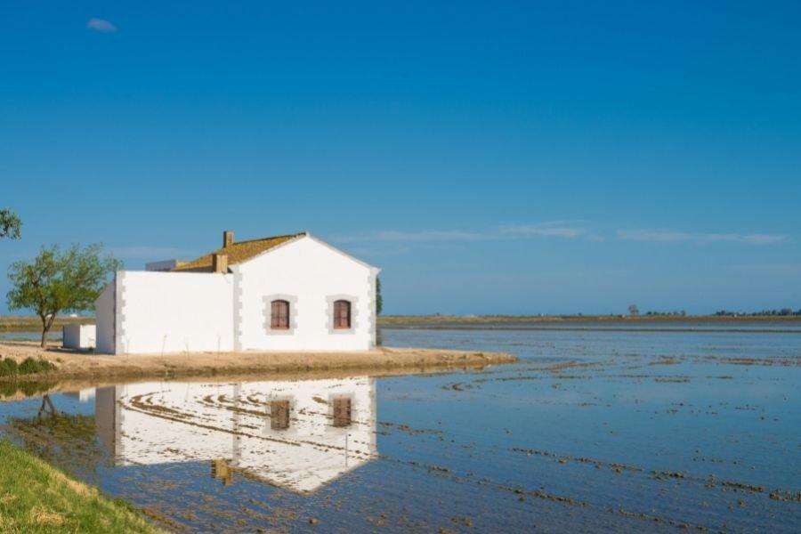 Delta_Ebro_turismo