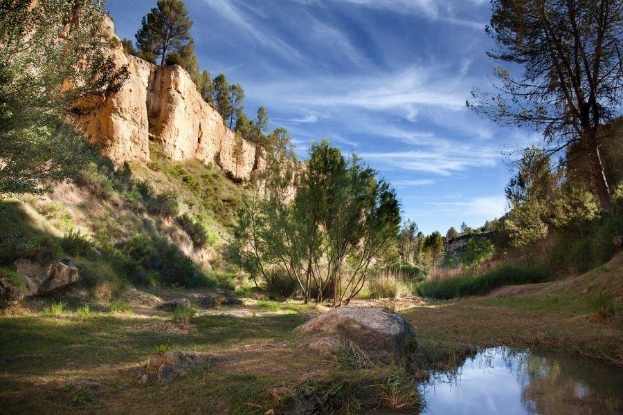 Tierra_Bobal_naturaleza