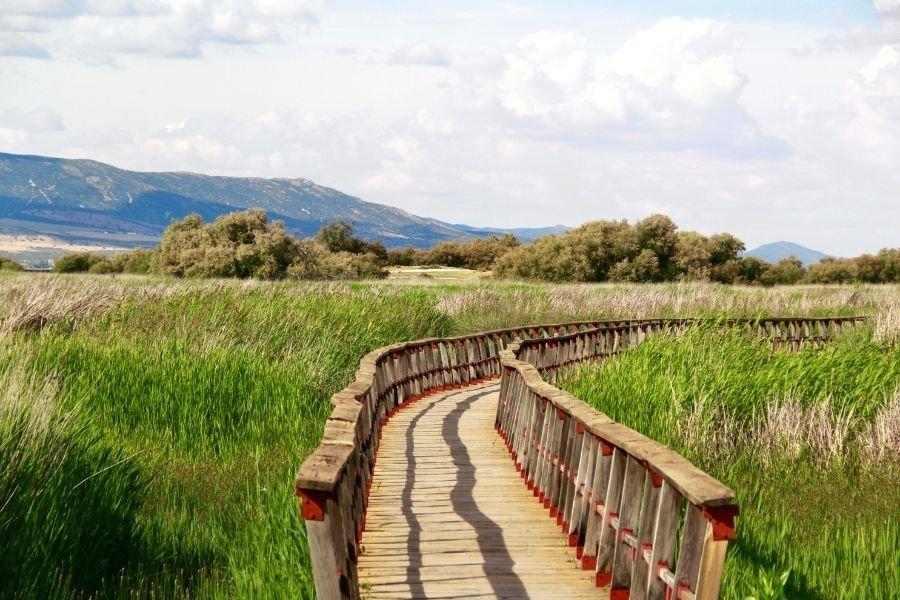 Tablas_de_Daimiel