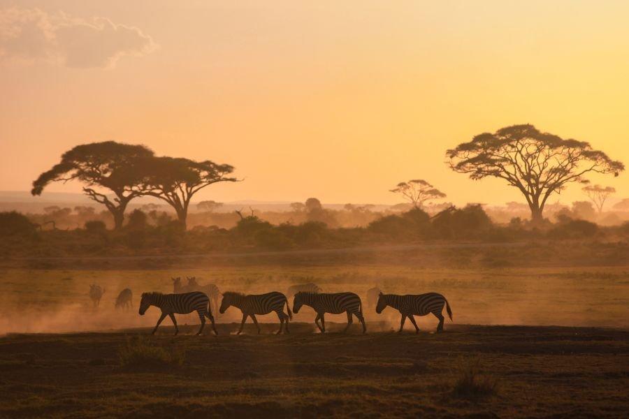 Safari_en_Kenia