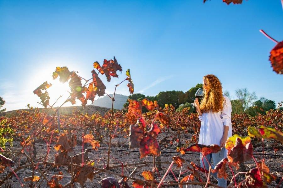 Jumilla_cata_de_vino