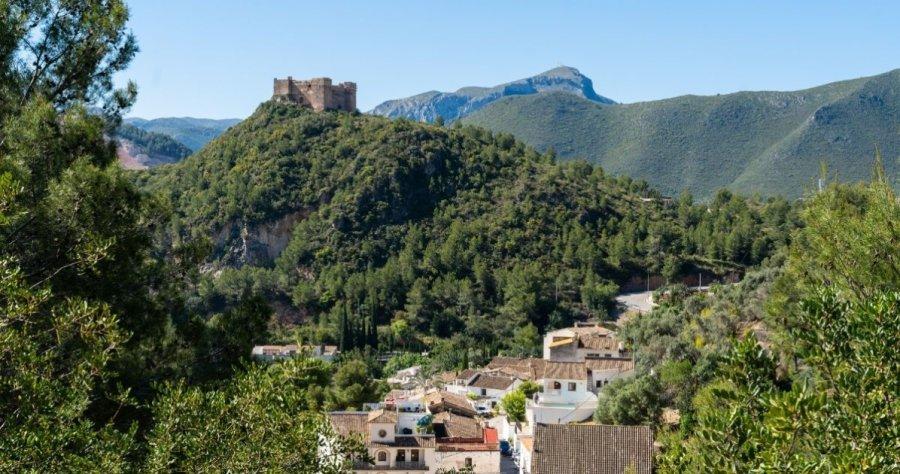 Descubre la auténtica belleza de Pego i les Valls: naturaleza, cultura y experiencias