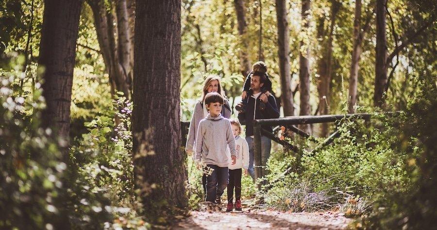 Descubre la magia del otoño en familia: Escapadas en la Región de Murcia