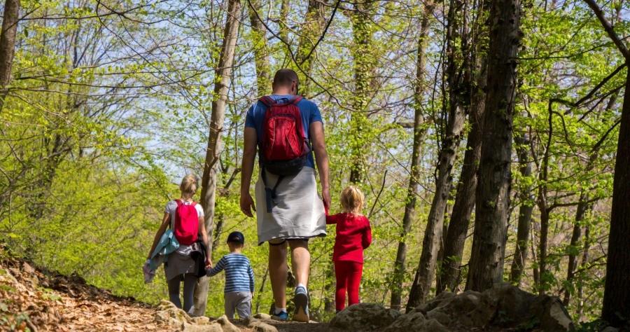 Campamentos en familia para este verano 2025