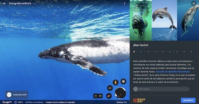 Google Earth