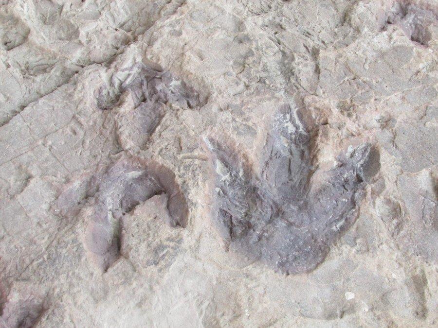 Alpuente con la familia, un mágico territorio de dinosaurios