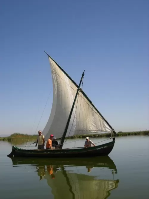 Ven a la Feria de la Albufera