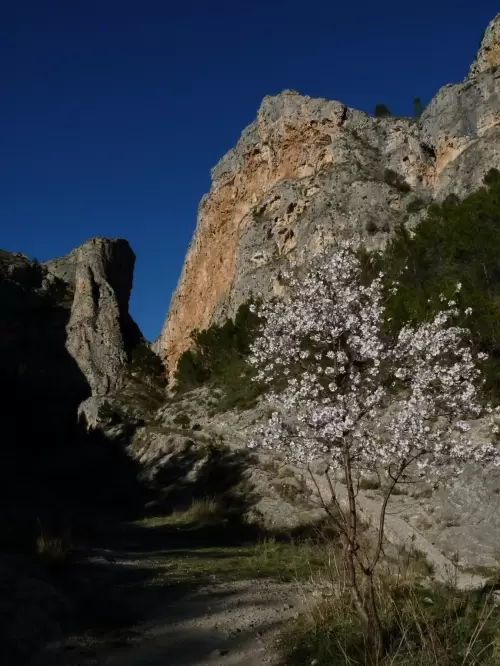 Excursiones en familia por senderos Alcoy