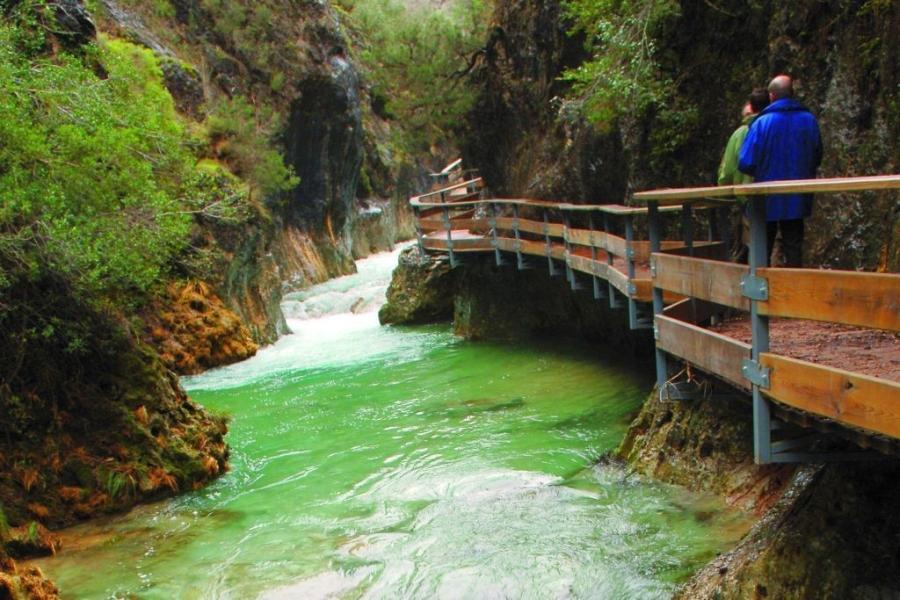 ¿Qué pueden ver y aprender tus hijos al visitar el Parque Natural de Cazorla?