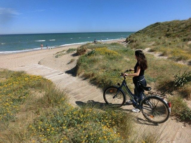 En bici y en barca por la Albufera de Valencia