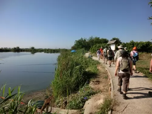 Un paseo por la marjal de Almenara