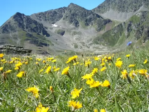 A?Andorra, un destino para ir con niA�os?