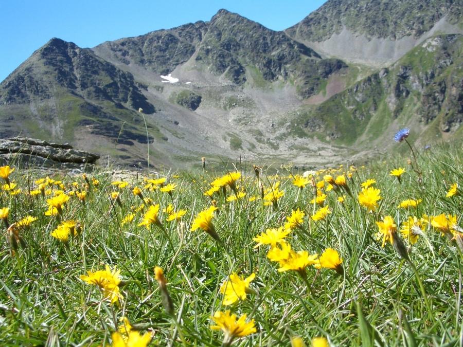 A?Andorra, un destino para ir con niA�os?