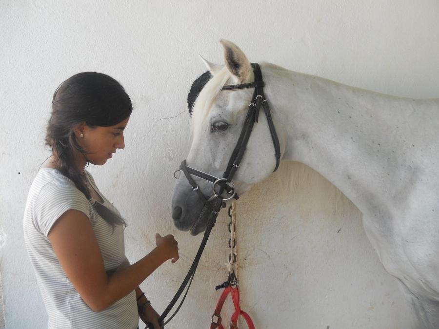 El caballo un buen amigo de los niA�os