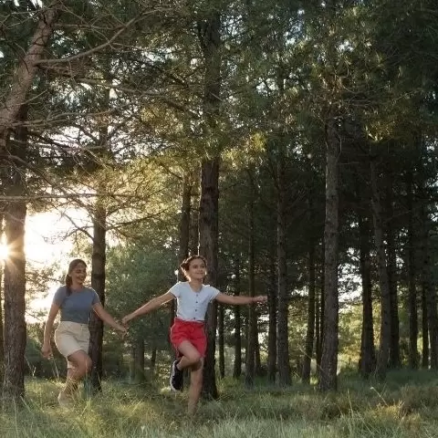 Tierra Bobal: Destino de naturaleza y vinos para familias 