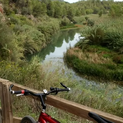 Viajar en bici con niños en verano