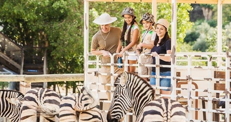 Planes familiares top y a buen precio para los rezagados de Agosto