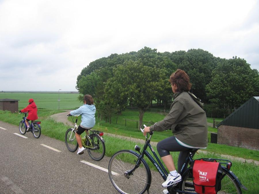 Ciudades saludables en bici familiar