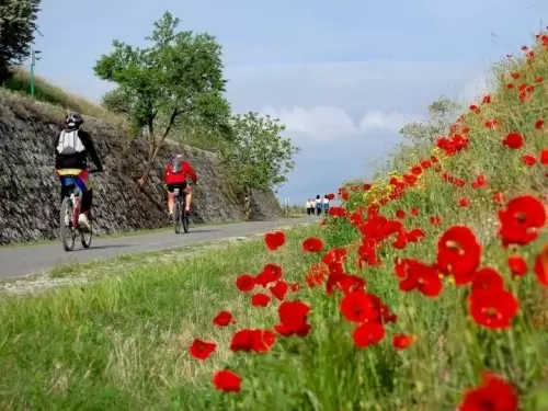 Un paseo en bicicleta por la vA�a verde de la SubbA�tica