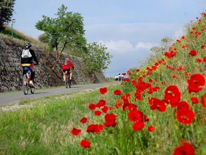 Un paseo en bicicleta por la vA�a verde de la SubbA�tica