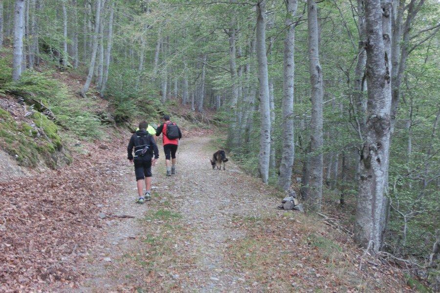 De paseo por los bosques del Moncayo