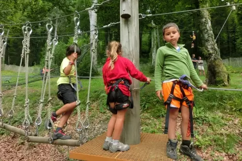 La aventura en las alturas del bosque