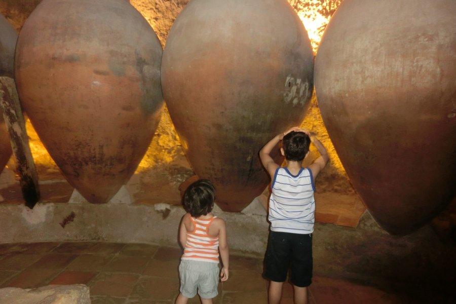 Descubre en Requena la cultura del vino