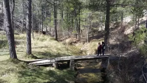 Un paseo por el río Madera con los niños: descubre el parque natural de Segura