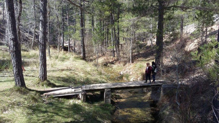 Un paseo por el río Madera con los niños: descubre el parque natural de Segura