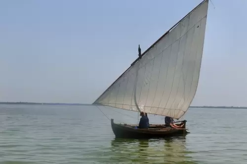 Descubre en Vela Latina la Albufera desde Silla