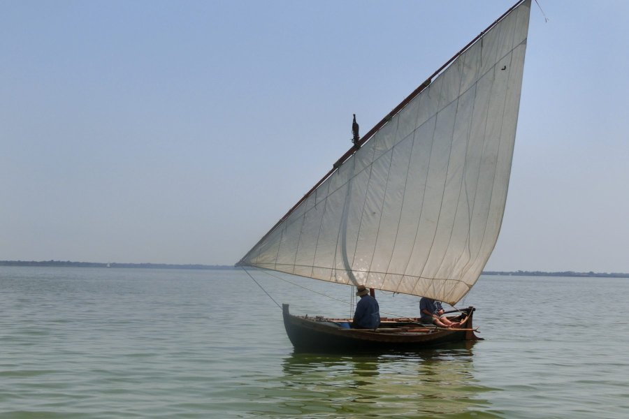 Descubre en Vela Latina la Albufera desde Silla