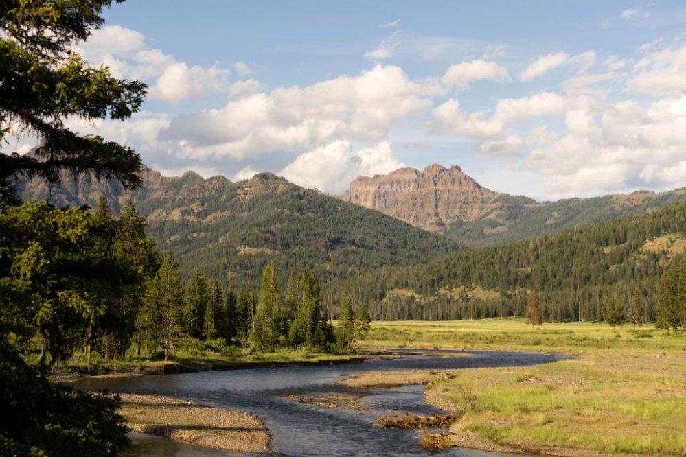 Visitar el Parque nacional de Yellowstone, el parque del Oso Yogui